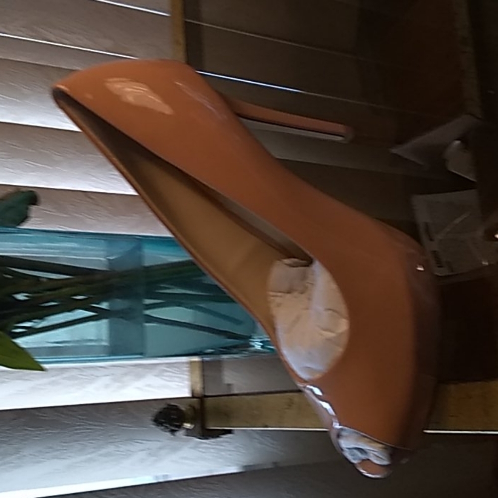 Guess patent pump